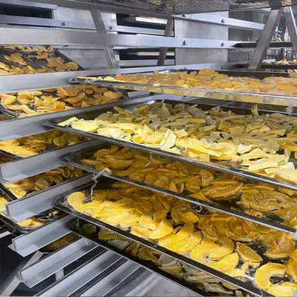Dried Fresh Meat Lyophilizer Freeze Dryer