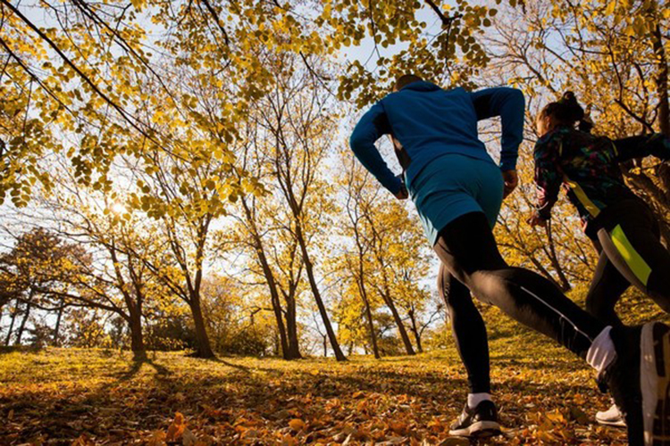 autumn run