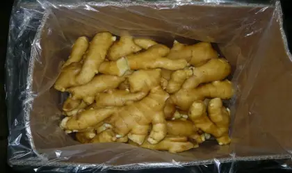 export fat fresh ginger