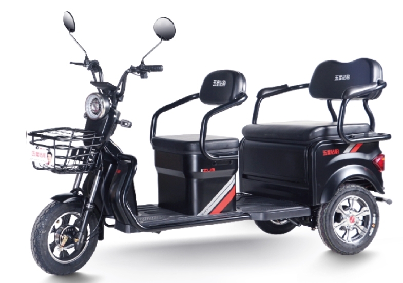H5 (Leisure Electric Tricycle)