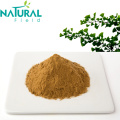 Cosmetic raw material Ginkgo Biloba leaf Extract Powder