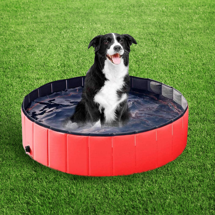 Piscina de animais de estimação de cachorro 120*30 cm banheira de banheira