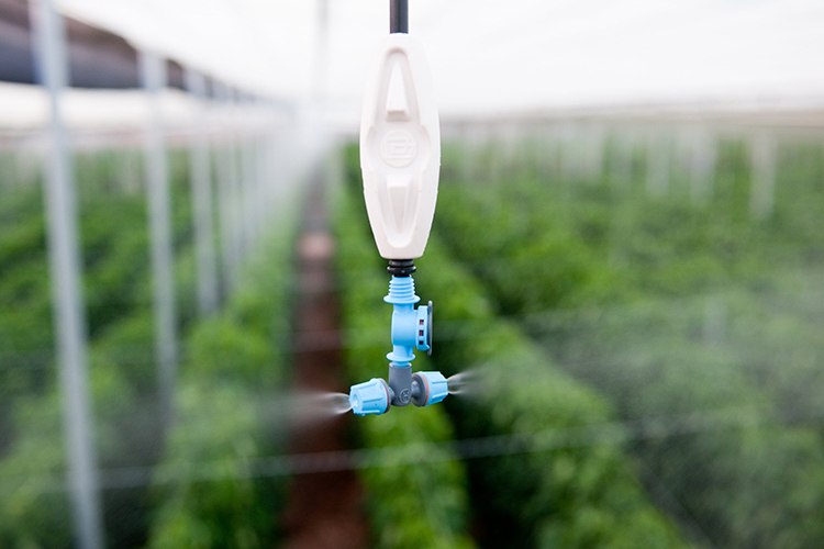 Irrigation Micro Sprayer for greenhouse irrigation system