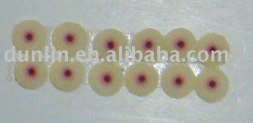 Fimo fruit cane