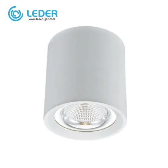 LEDER Decorative Cylindrical 40W LED Downlight