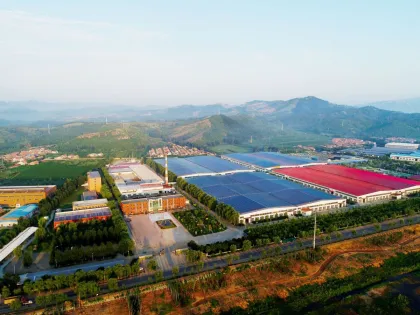 Factory Price Long Fiberglass Handle Garden Hoe - Garden Tools