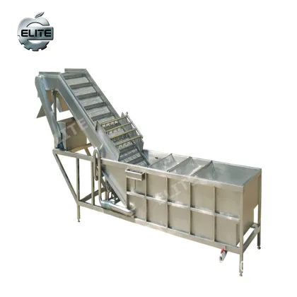 Berries Cleaning Machine: Fruit and Vegetable Cleaning Machine
