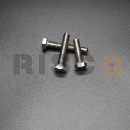 High quality SS304 hex bolt Risco