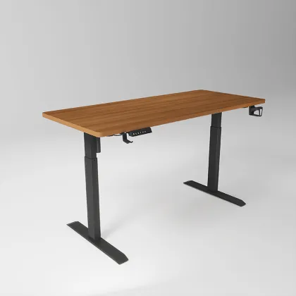 YZ Global Hot Sale Customizable Stainless Steel Ergonomic Electric Height-Adjustable Desk