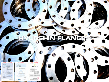DIN2576 PN10 S235JR Plate Forging