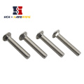 Stainless Steel Carriage Bolt