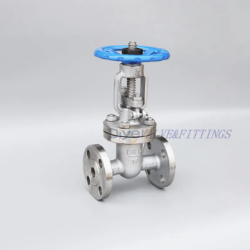 Stainless Steel Flanged Gate Valve