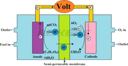 Hydrogen Fuel Cell Kit: Alternative Renewable Energy Trainer & Testing System