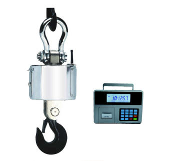 RFI Protection Stell Crane Scale