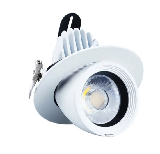 Multi-specification optional LED downlight