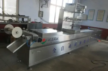 DLZ 520 automtaic vacuum packing machine