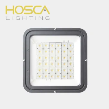 China Professional IP66 Waterproof LED Module for Street Lamps (10W-100W)