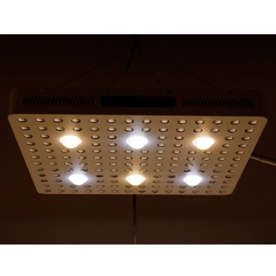 Widely Used Superior Quality 3000w Cob Crees