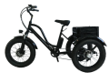 قاعة الاستشعار رانجكا beltdrive دراجة ثلاثية العجلات الكهربائية