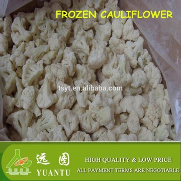 iqf frozen cauliflower health food