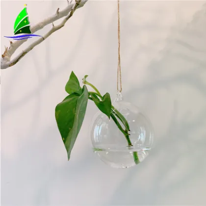 Crystal glass flower bottle hydroponics hanging Vase,terrarium water