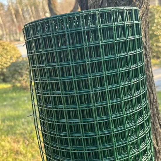 Hot Sell Green PVC Coated 1x1 Welded Wire Mesh Roll BWG 19 48"*100