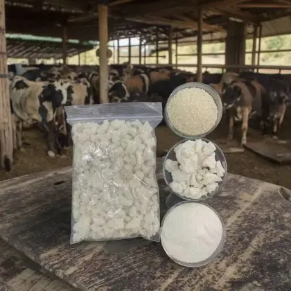 Rice Protein: A Natural Ingredient for Pet Foods