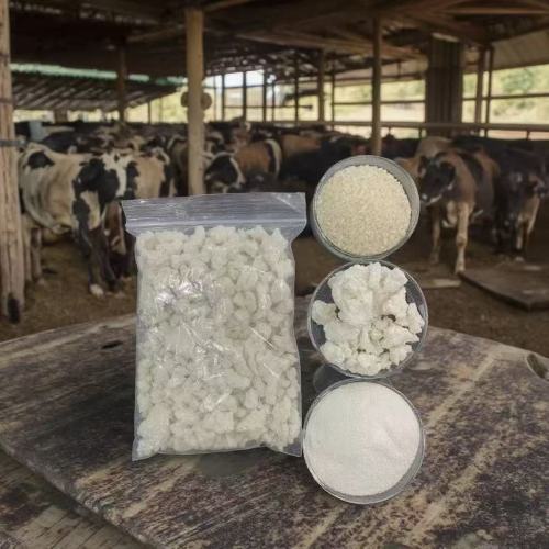 Rice Protein: A Natural Ingredient for Pet Foods