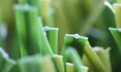 Taishan FIFA soccer artificial turf grass