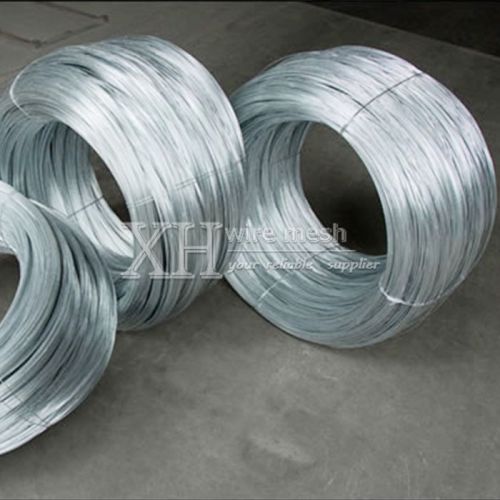 Iron Wire Mesh Electro Galvanized Wire for sale Manufactory