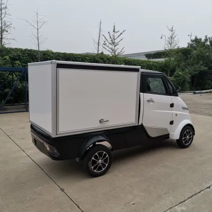 Mini Electric Delivery Van for Flower Delivery