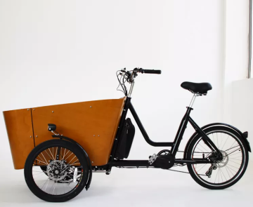 Dansk elektrisk lasttrylikcykel: En familjevänlig lösning för långdistansresor med barn och varor
