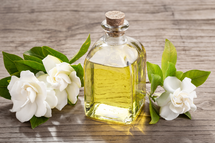 100% Pure natural organic gardenia oil