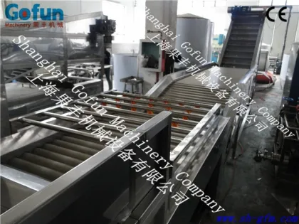Fruit and Vegetable Brush Washing machine/food Brush cleaning machine/food processing machine
