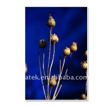 190gsm one-side Glossy Photo paper