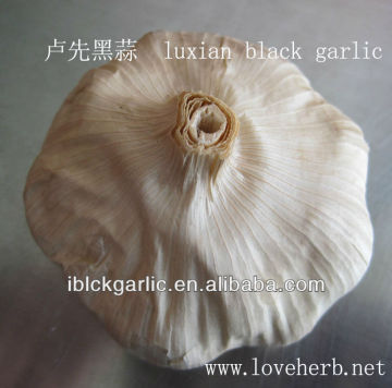 Back Garlic For Delicious Soup