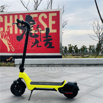 latest design 500w intelligent electric scooter