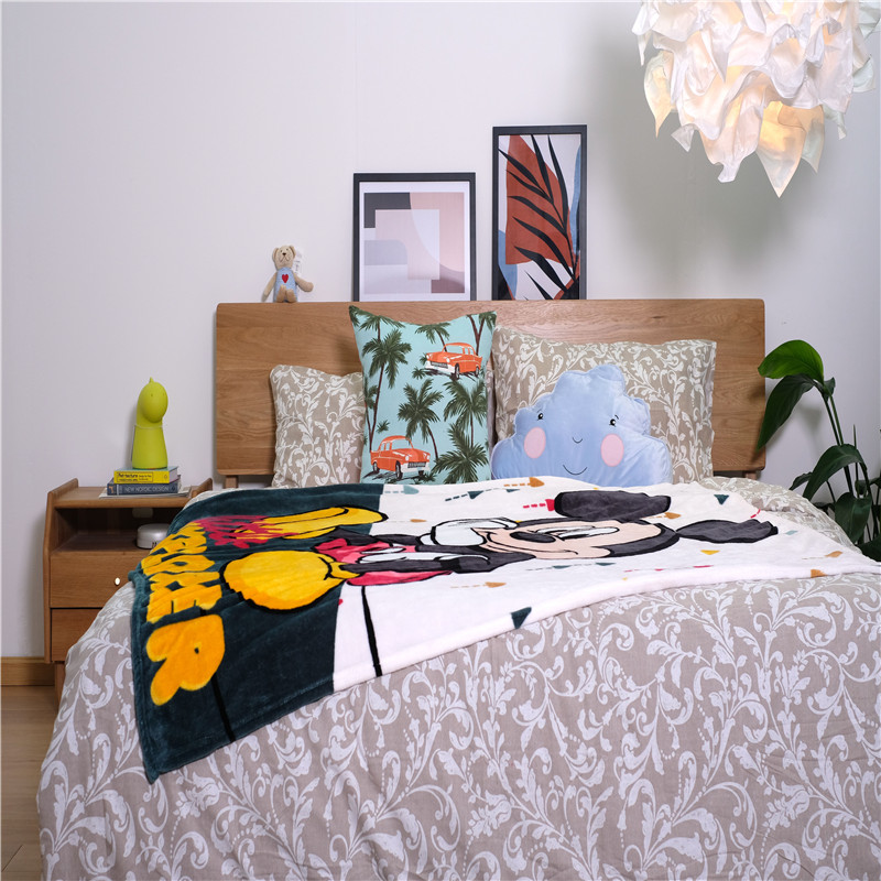 Microfiber Flannel Fleece Blankets