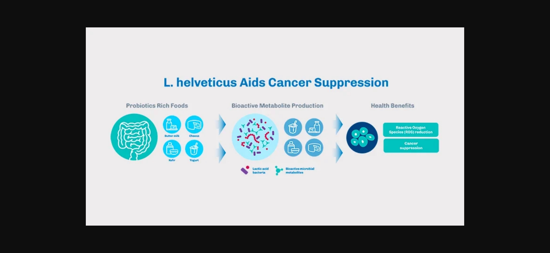 Lactobacillus Helveticus4