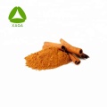 Cinnamon Bark Extract Cinnamon Polyphenols Powder 10%