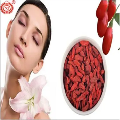 Super Berry Sun Dry Goji Berries Red Fruits