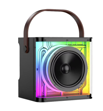 Kasinuo Bluetooth Speaker with LED Light - Portable Microphone for Karaoke, Indoor/Outdoor