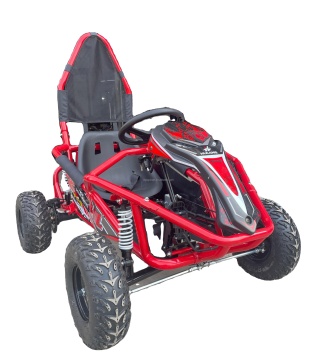 2024 Off Road Buggy for Sale: 500W 48V 20AH Cheap 4 Wheel Sale