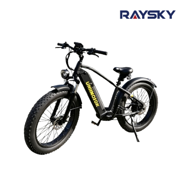 All-Terrain Fat Tire Electric Mountain Bike