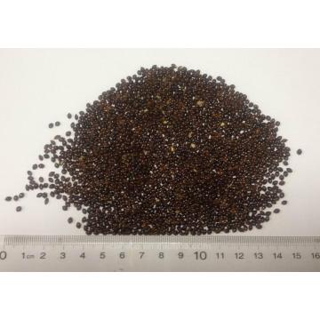 Dried Proso millet,Panicum miliaceum,Black millet,Common millet,Hog millet,Broomcorn millet,Shu zi,Bird seed,Grist