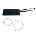 FastScan Bio How to use an ultrasound machine for pigs