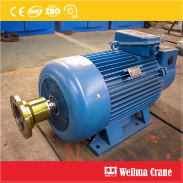 Crane and Hoist Motors