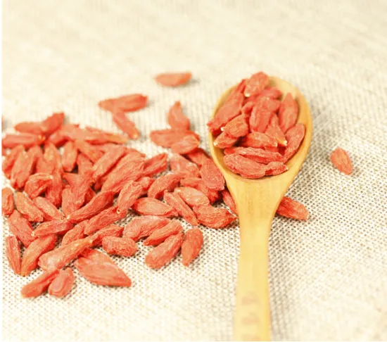 Lycium Goji Berry Ningxia Goji