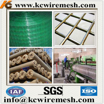 Stainless Steel Bird Cage Wire Mesh