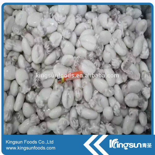 Frozen Baby Cuttlefish IQF with raw material with top quality